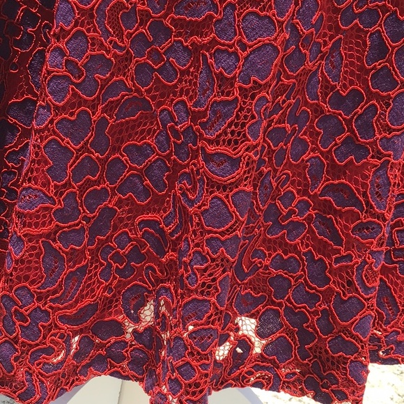 Mystic red & purple lace dress w/ peek-a-boo net - Picture 8 of 16